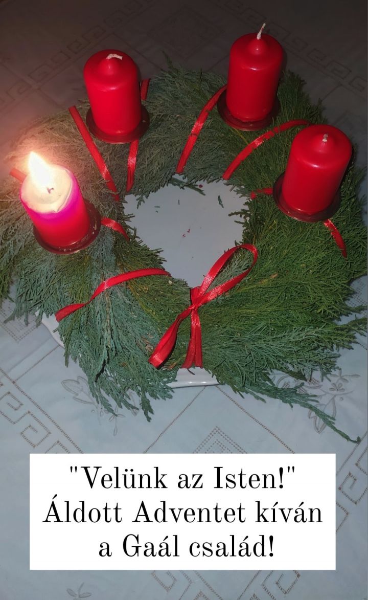 Adventi koszorúk 2020