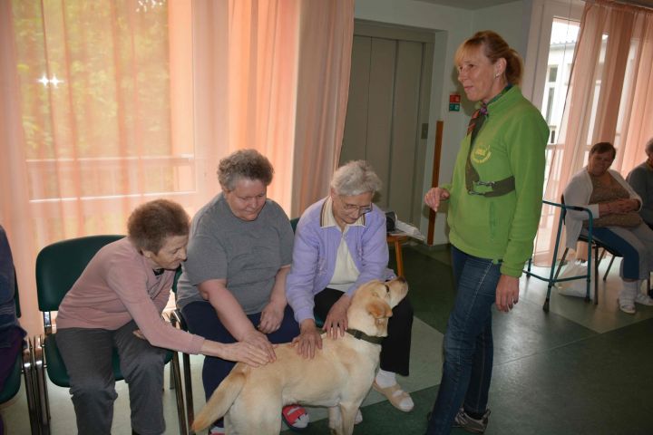 jó gyakorlatok_VZ jó gyakorlatok_VZ