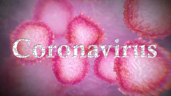 Látogatási rend 2020.09.07